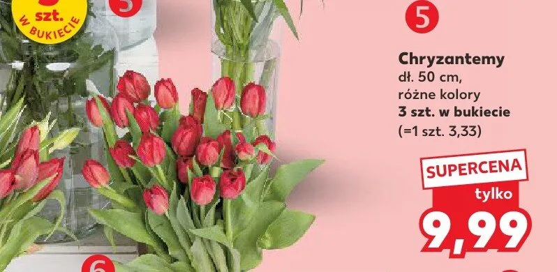 Chryzantemy dł. 50cm promocja w Kaufland