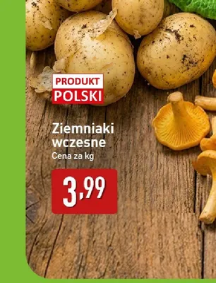 Ziemniaki wczesne polskie promocja w Aldi