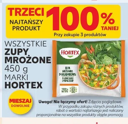 Zupa wiosenna 9-składnikowa Hortex promocja w Kaufland