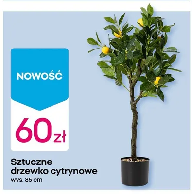 Sztuczne drzewko cytrynowe, 85 cm promocja w Pepco