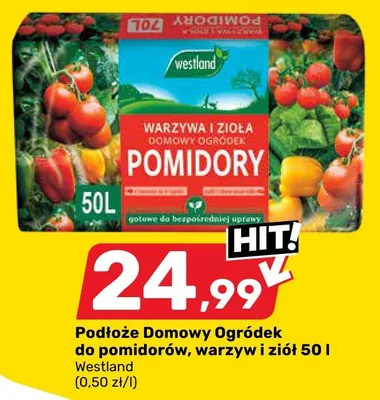 Podłoże Domowy Ogródek do pomidorów, warzyw i ziół 50 l promocja w Bricomarche