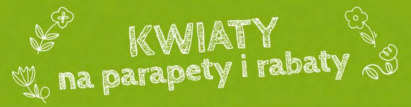 Gazetka Supermarket, strona 51 promocja w Stokrotka