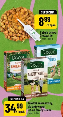 Cebula dymka Stuttgarter promocja w POLOmarket