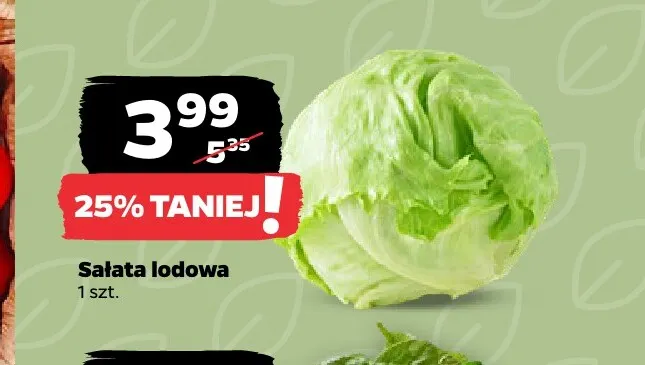 Sałata lodowa promocja w Netto