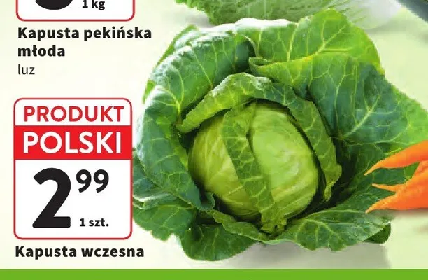Kapusta wczesna promocja w Intermarche