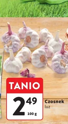 Czosnek luz promocja w Intermarche