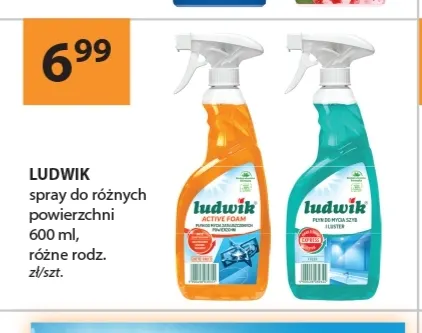 Spray do różnych powierzchni Ludwik promocja w Drogerie Laboo