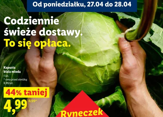 Kapusta biała młoda promocja w Lidl