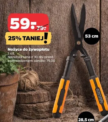 Nożyce do żywopłotu promocja w Netto