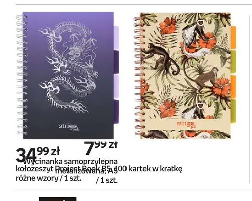 Kołozeszyt Project Book B5 100 kartek w kratkę Strigo promocja w Empik