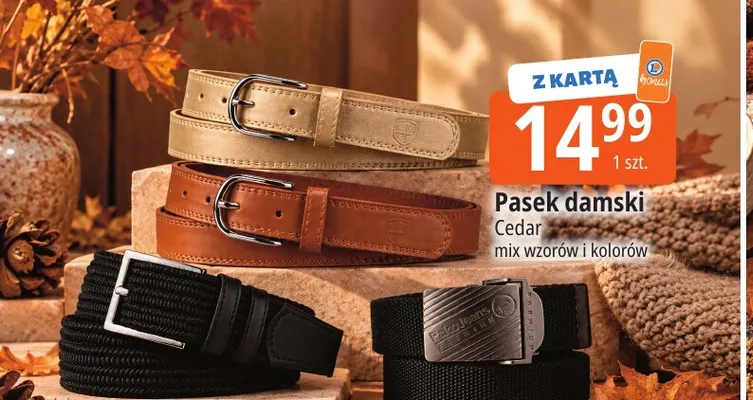 Pasek damski Cedar promocja w Leclerc