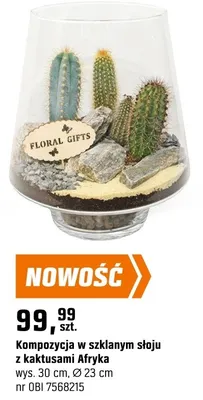 Kompozycja w szklanym słoju z kaktusami Afryka promocja w OBI