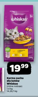 Karma sucha dla kotów Whiskas promocja w Netto