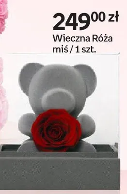 Wieczna róża miś promocja w Empik