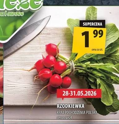 Rzodkiewka polska promocja w Arhelan