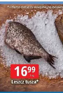 Leszcz tusza promocja w Leclerc
