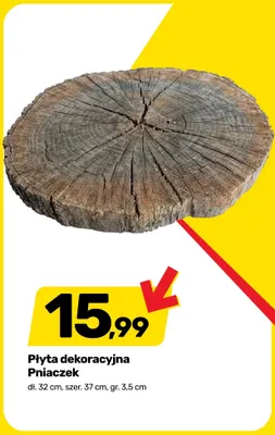 Płyta dekoracyjna Pniaczek promocja w Bricomarche