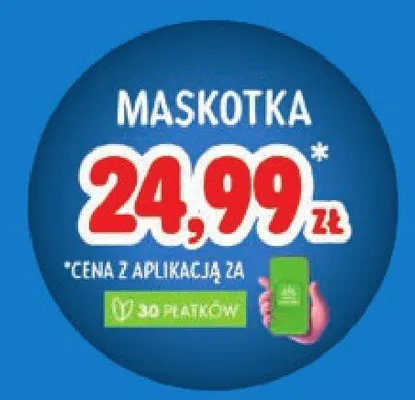Maskotka promocja w Stokrotka