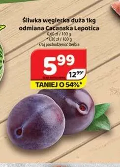 Śliwka węgierka duża odmiana Cacanska Lepotica promocja w Delfin