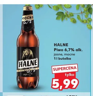 Piwo Halne jasne mocne 6,7% alk. promocja w Kaufland