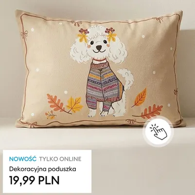 Dekoracyjna poduszka promocja w Sinsay