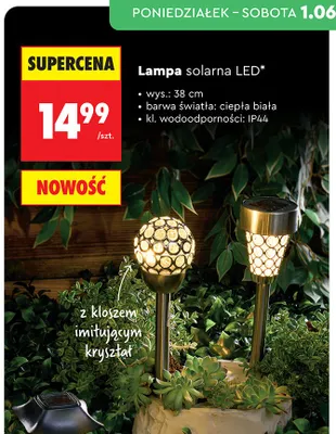 Lampa solarna LED wys. 38cm promocja w Biedronka