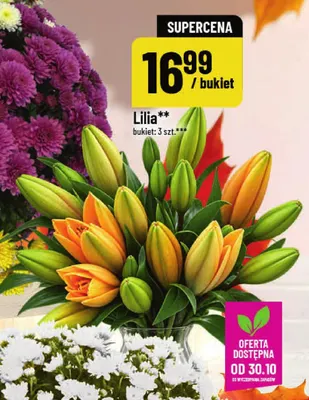 Lilia 3-pak promocja w POLOmarket