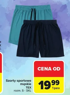 Szorty sportowe męskie TEX rozm. S-3XL promocja w Carrefour