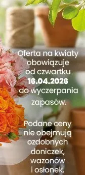 Gazetka, strona 26 promocja w Twój Market