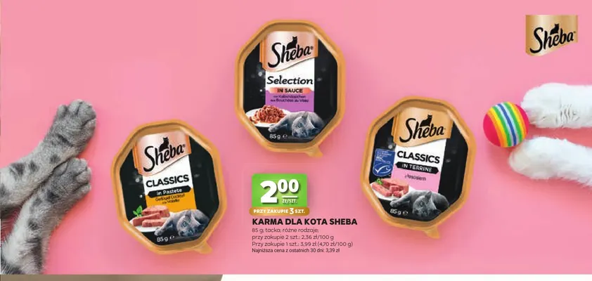 Karma dla kota Sheba promocja w Stokrotka