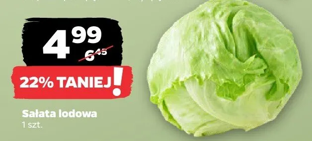 Sałata lodowa promocja w Netto