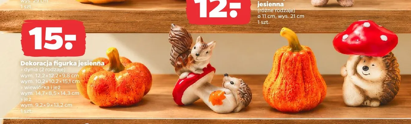 Dekoracja figurka jesienna wiewiórka i jeż promocja w Netto