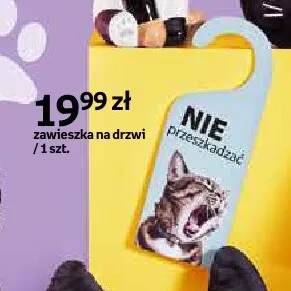 Zawieszka na drzwi Paperdot Purrrfect School promocja w Empik
