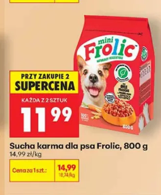 Sucha karma dla psa Frolic promocja w Biedronka