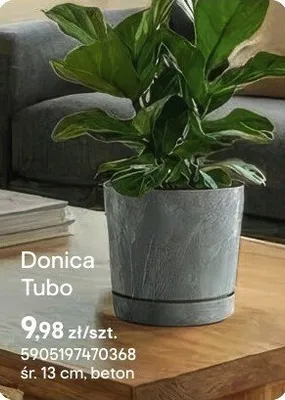 Donica Tubo beton promocja w Castorama