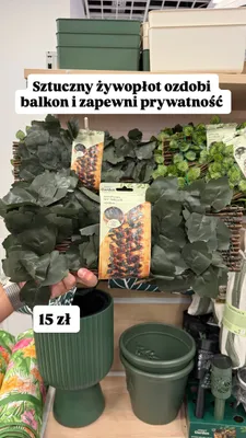 Sztuczny żywopłot pepco Garden Artificial Ivy Trellis 43x18cm promocja w Pepco