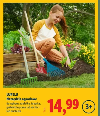 Narzędzia ogrodowe do wyboru: szufelka, łopatka, grabie klasyczne lub do liści lub miotełka promocja w Lidl
