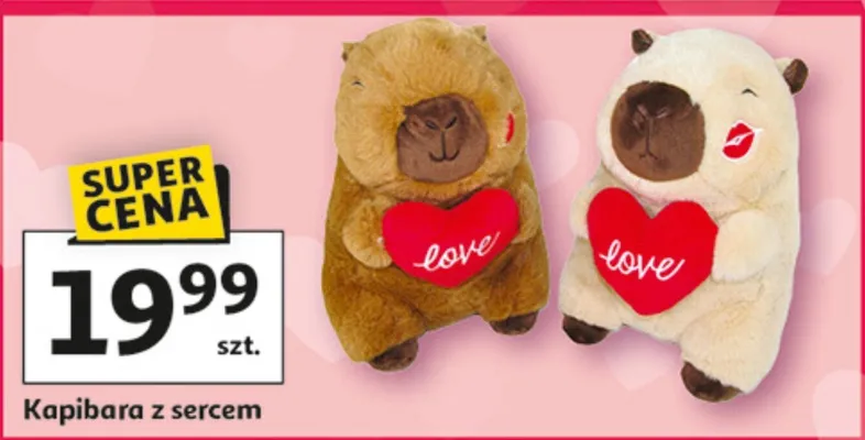Kapibara z sercem promocja w Auchan