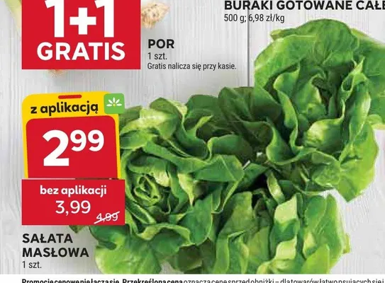 Sałata masłowa promocja w Stokrotka