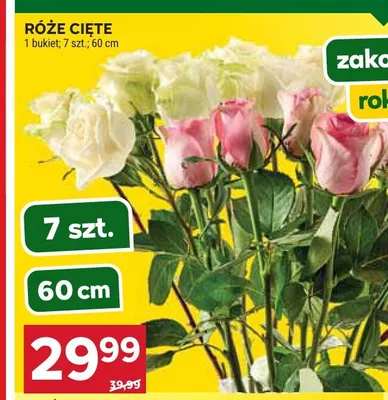 Róże cięte bukiet promocja w Stokrotka