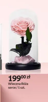 Katalog prezentów: Walentynki, strona 7 promocja w Empik