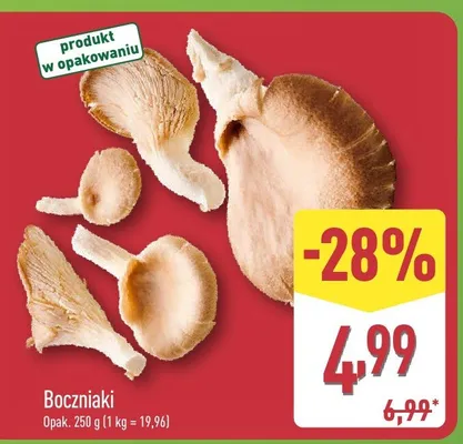 Boczniaki promocja w Aldi