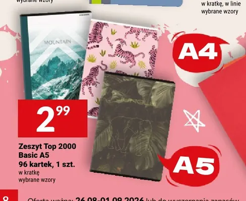 Zeszyt Top 2000 Basic A5 96 kartek w kratkę promocja w Twój Market