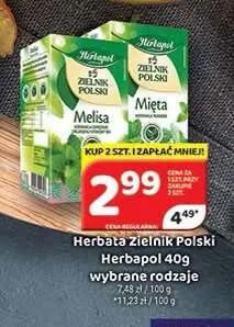 Herbata Zielnik Polski Herbapol promocja w Delfin