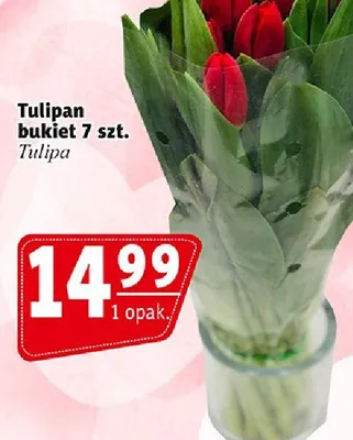 Tulipan bukiet 7 szt. promocja w Prim Market