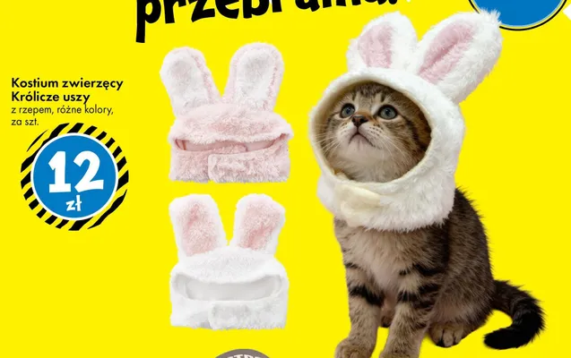 Kostium zwierzęcy Królicze uszy z rzepem promocja w Tedi