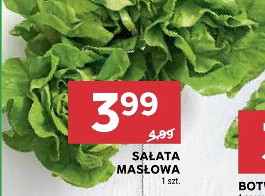 Sałata masłowa promocja w Stokrotka