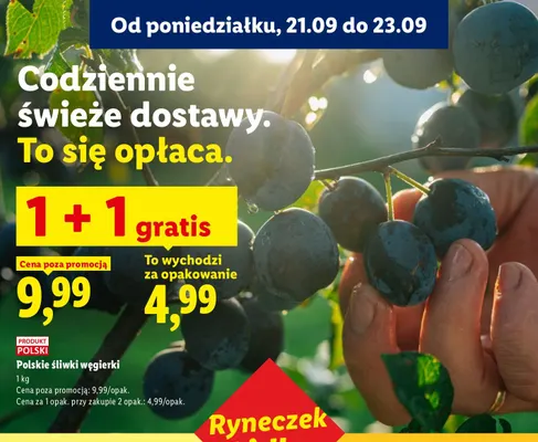Śliwki węgierki polskie promocja w Lidl