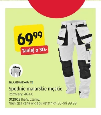 Spodnie malarskie męskie Bluewear promocja w Jula