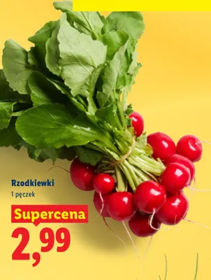 Rzodkiewki Lidl promocja w Lidl